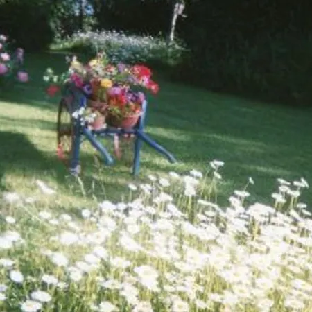 Confortable A Avec Jardin, Terrasse, Et Proche Stations Thermales De Vittel Et Contrexeville - Fr-1-589-482 Tatil Evi *